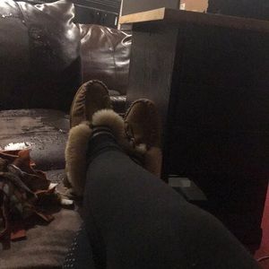 Meet your Posher, Shane